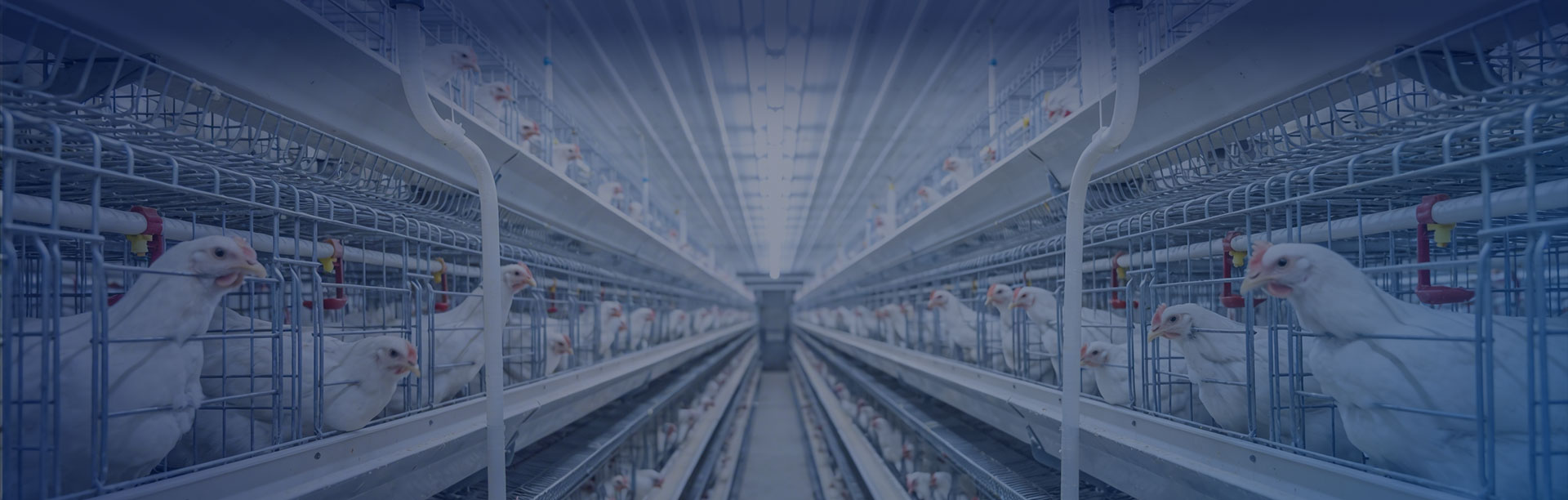 瑞科盟5S服务体系